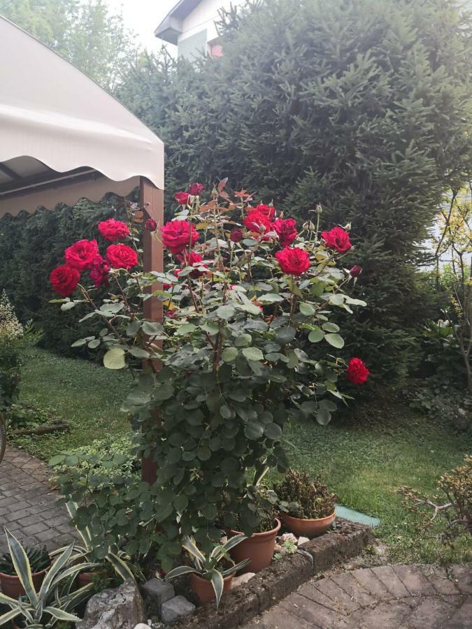 La Casa Di Tino Hotel Fontanellato Kültér fotó