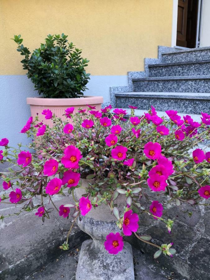 La Casa Di Tino Hotel Fontanellato Kültér fotó